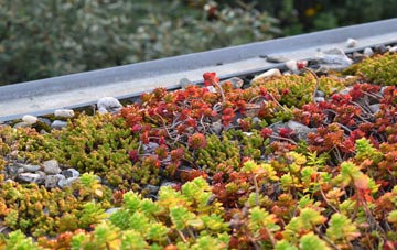 the cost of Cotmanhay green roof installation