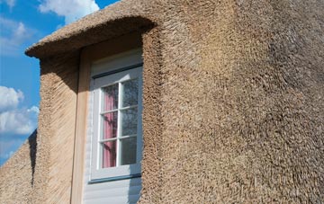 Cotmanhay thatch roof disadvantages